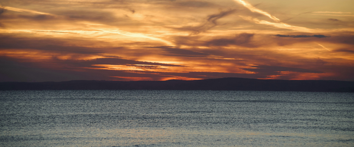 banner-image